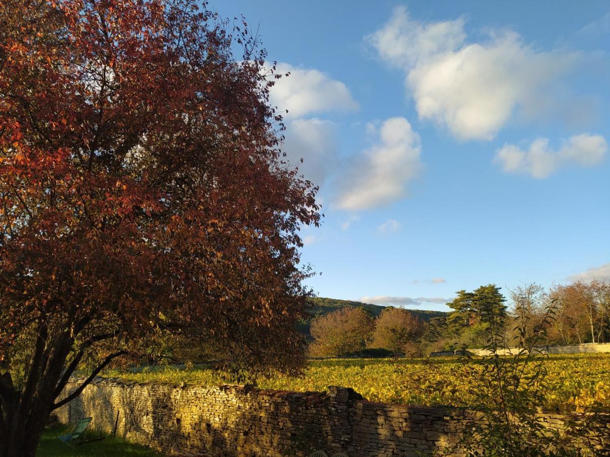 Le Clos Du Chateau Rully  Extérieur photo